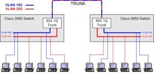 Trunk 