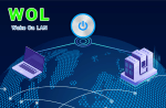 wol